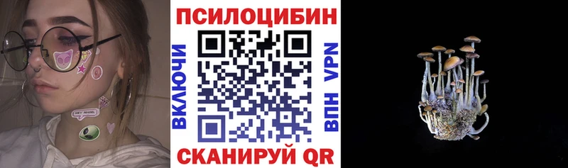 Галлюциногенные грибы Psilocybine cubensis  МЕГА как войти  Мосальск 